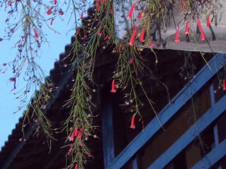 Отель Pousada Entre Paraísos