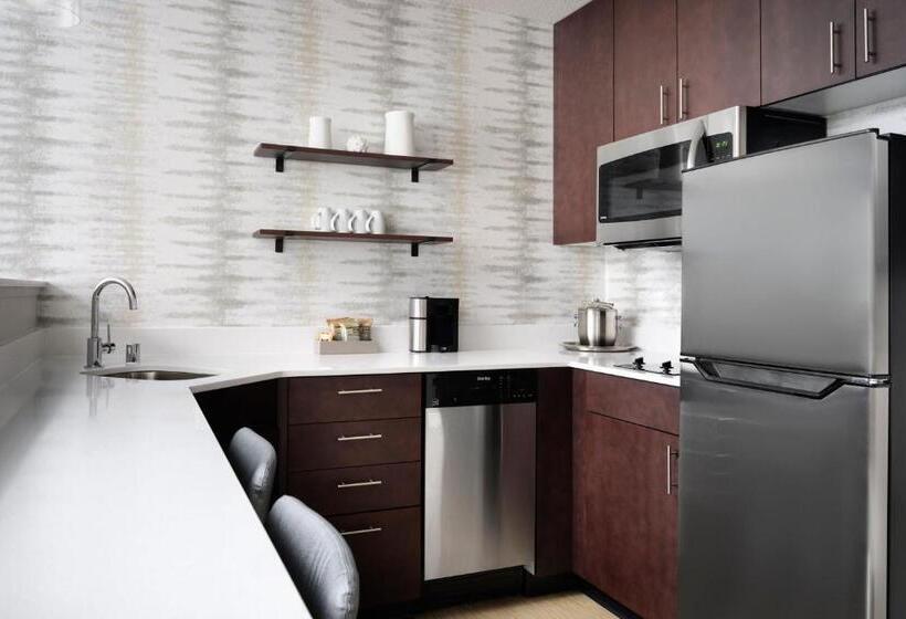 酒店 Residence Inn Rochester Mayo Clinic Area South