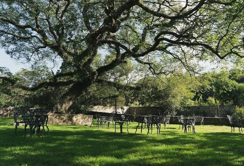 酒店 Rincon Del Cerro