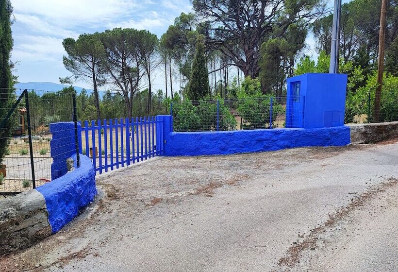 בית מלון כפרי Casas Do Pinheiro Grande