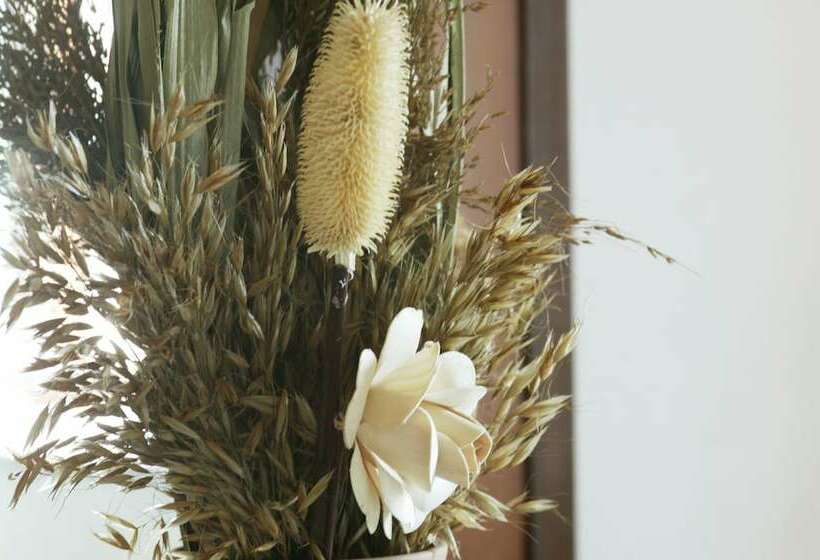 בית מלון כפרי Casina Centeno