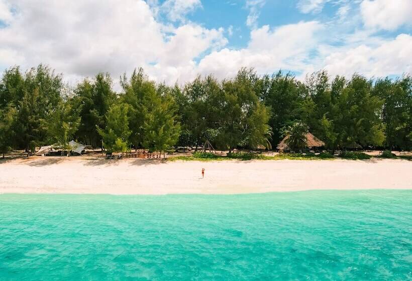 酒店 Sharazad Oasis Retreat