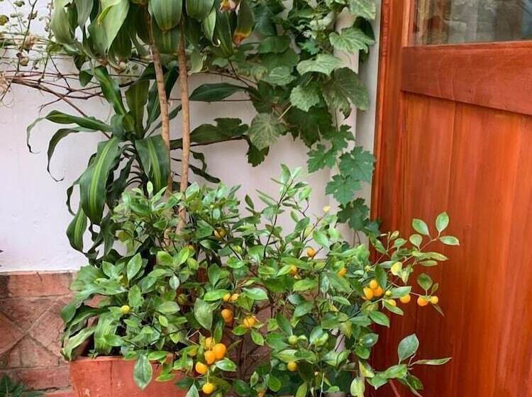 호텔 Sol De La Villa