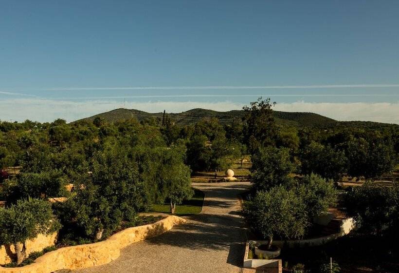 בית מלון כפרי Solar Alvura Health