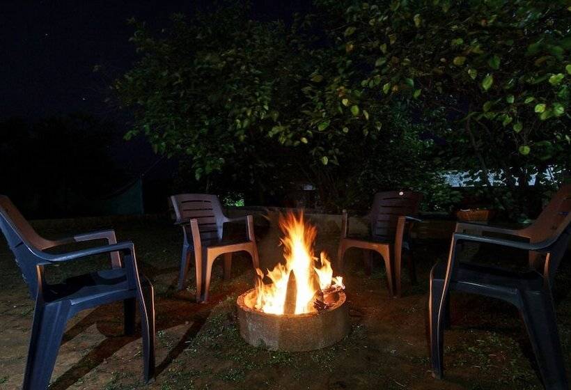 فندق Treebo La Paradise