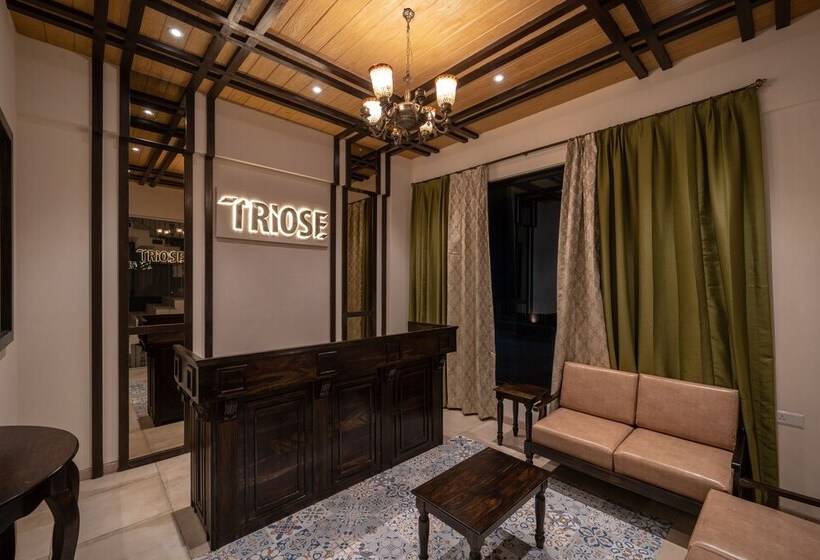 호텔 Triose Boutique