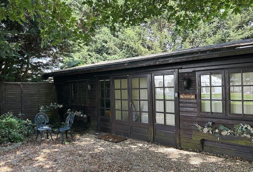 Lily Pad By Paymán Club