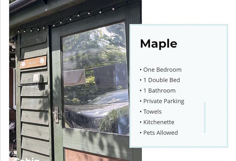 Maple By Paymán Club