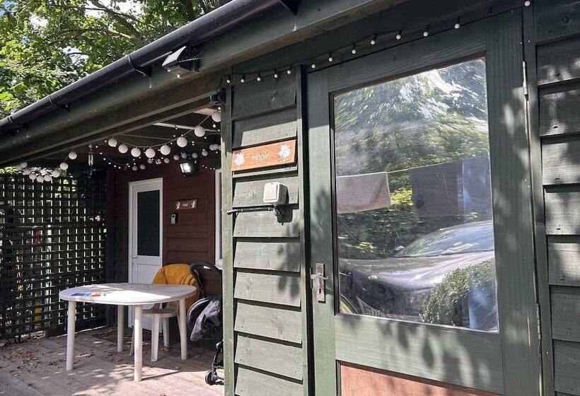 Maple By Paymán Club