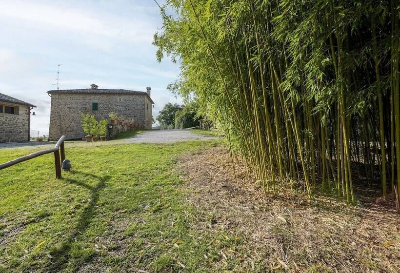 Medieval Farmhouse In Caprese Michelangelo With Terrace