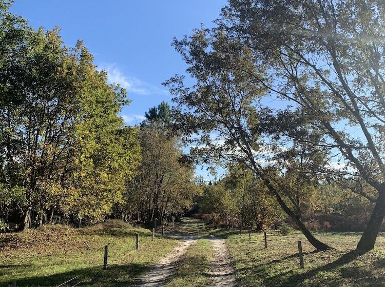 بنسيون La Grange Du Coulin