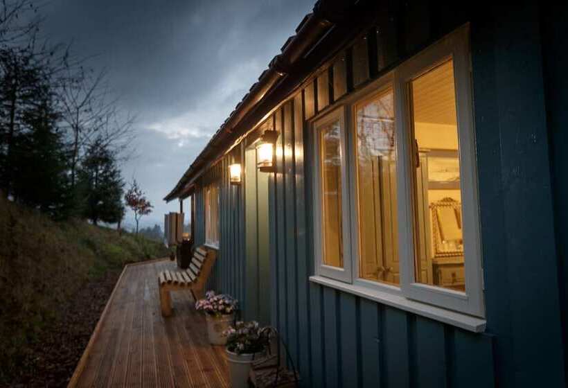 بنسيون Upper Gelli