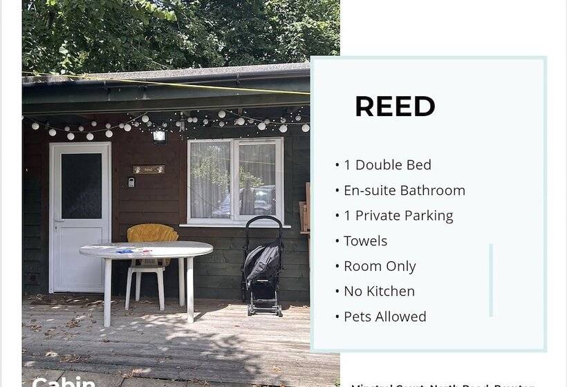 Reed By Paymán Club