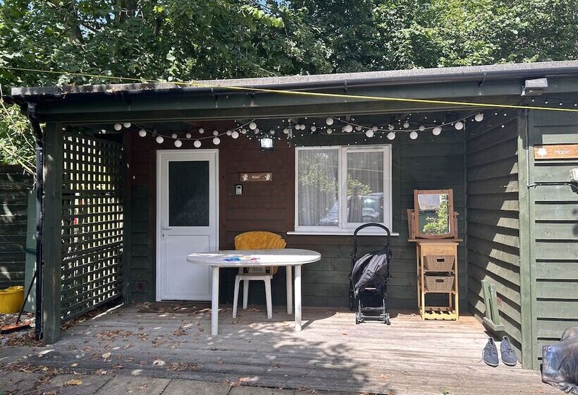 Reed By Paymán Club