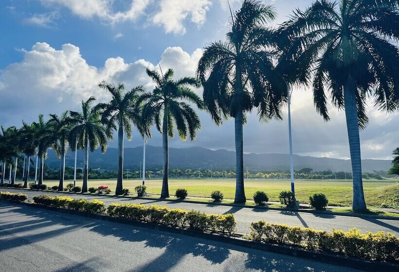 レジデンス Magnesium Seaview