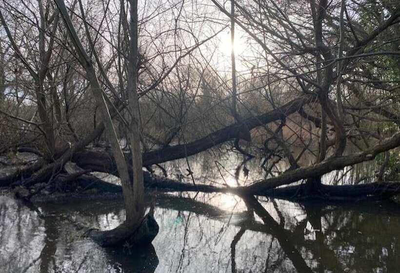 レジデンス Newly Refurbished 4 Bed House In Bournemouth