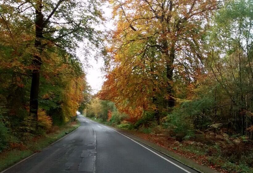 إقامة The Forest Coach House   Minutes From The Forest