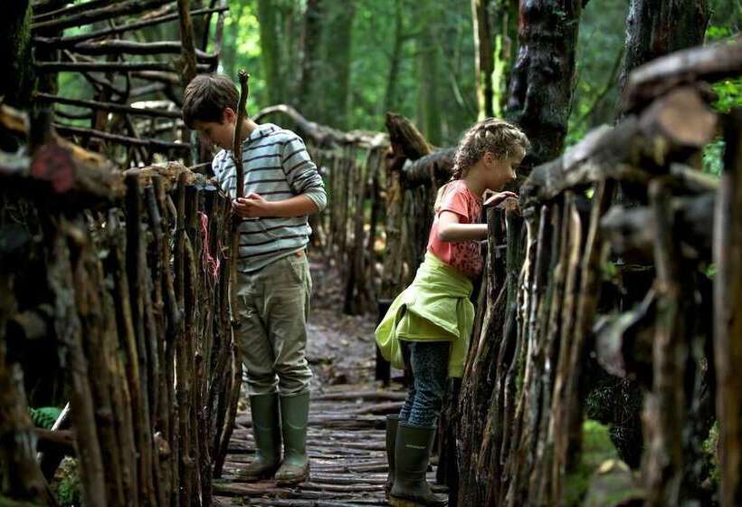 إقامة The Forest Coach House   Minutes From The Forest