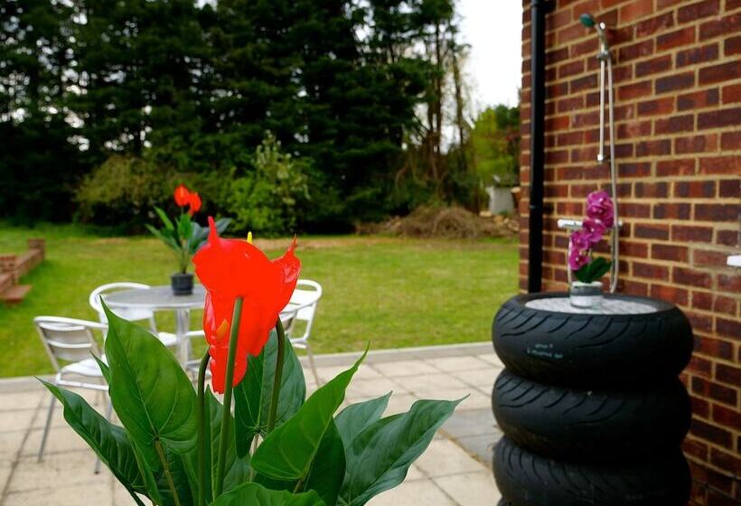 レジデンス Deluxe 4/5 Bed Hot Tub Cinema Room 15