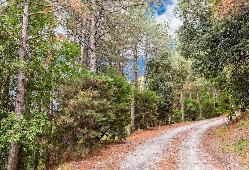 Tasteful Cottage In Cortona With Swimming Pool