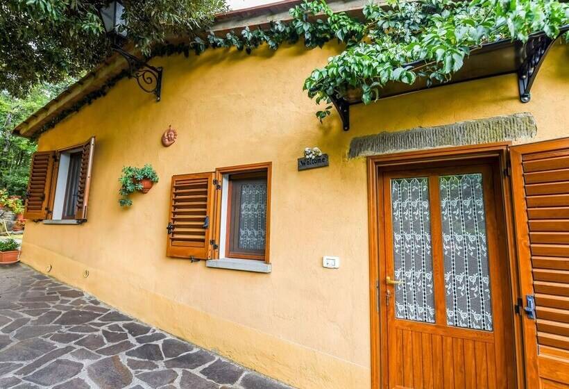 Tasteful Cottage In Cortona With Swimming Pool