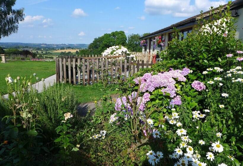 The Rock Self Catering Holiday Accommodation