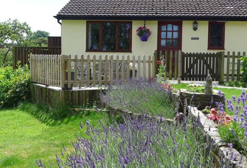 The Rock Self Catering Holiday Accommodation