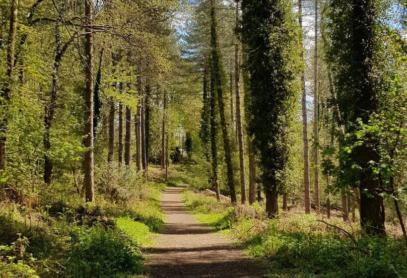 The Rock Self Catering Holiday Accommodation