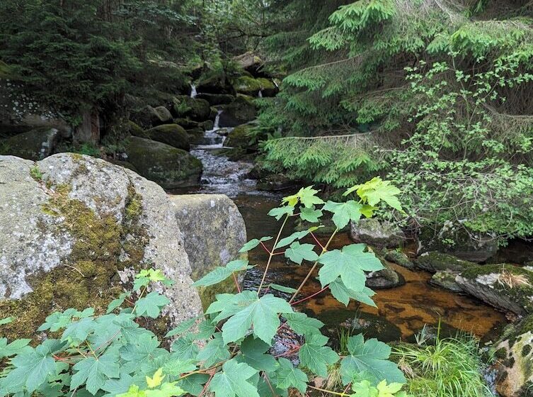 Wanderhotel Steinerne Renne