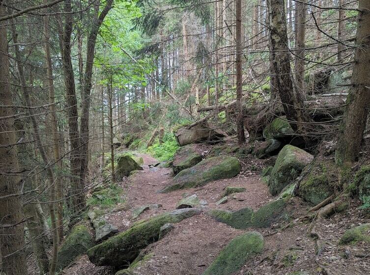 Wanderhotel Steinerne Renne