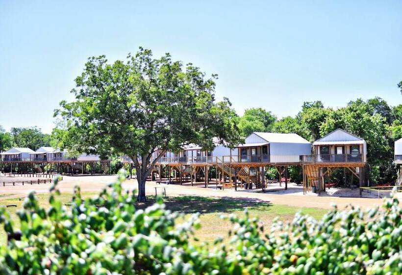 13 Son S Rio Cibolo Birdhouse Cabin