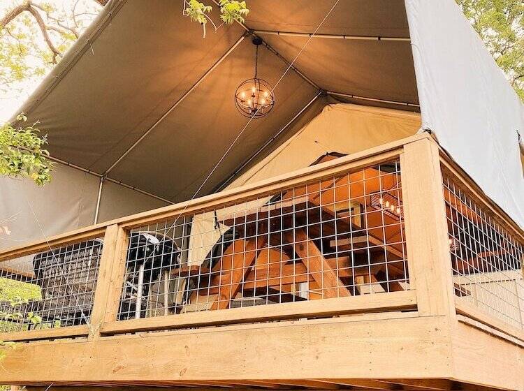 18 Son S Rio Cibolo   Birdhouse Cabin