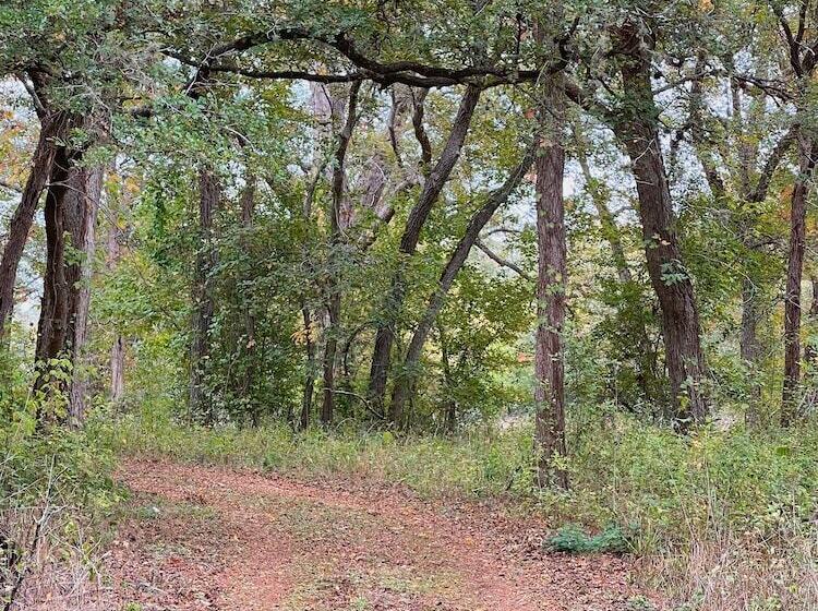 9 Son S Rio Cibolo Birdhouse Cabin