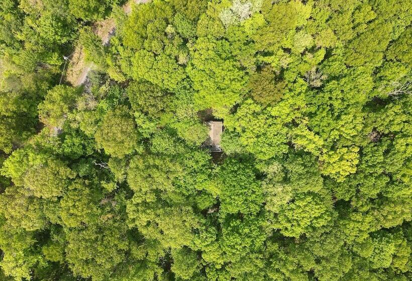 A Humble Abode   A Modern Woodsy Retreat