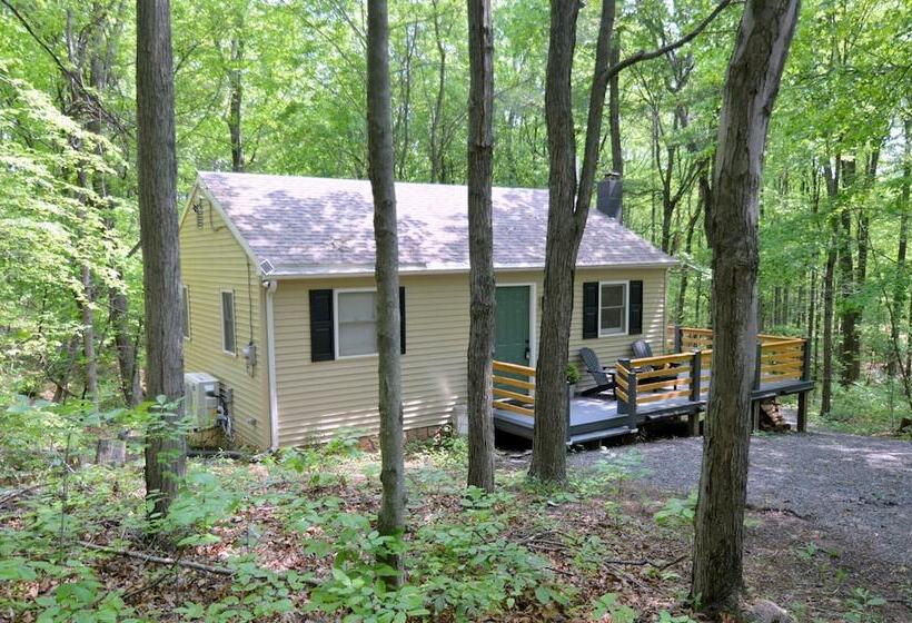 A Humble Abode   A Modern Woodsy Retreat