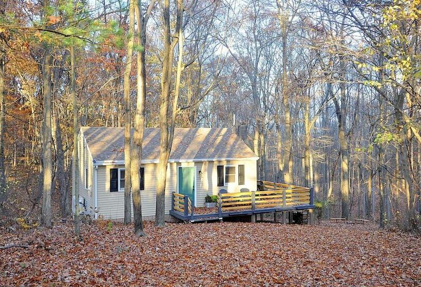 A Humble Abode   A Modern Woodsy Retreat