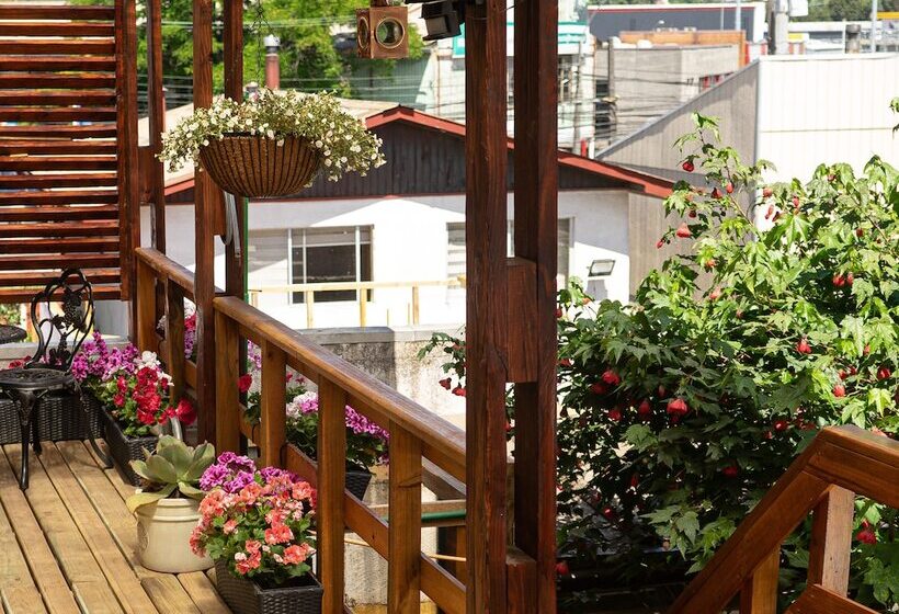 فندق صغير Hostal Mi Segundo Hogar