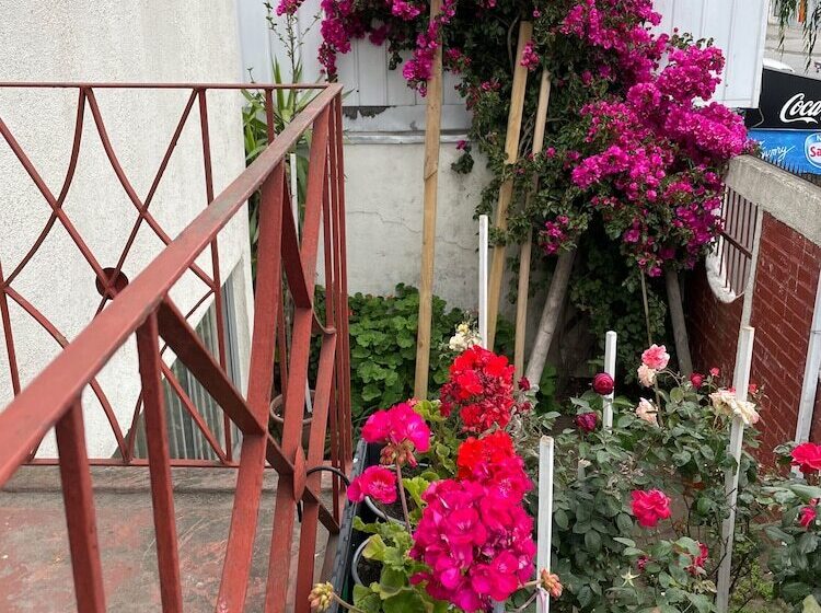 فندق صغير Hostal Mi Segundo Hogar