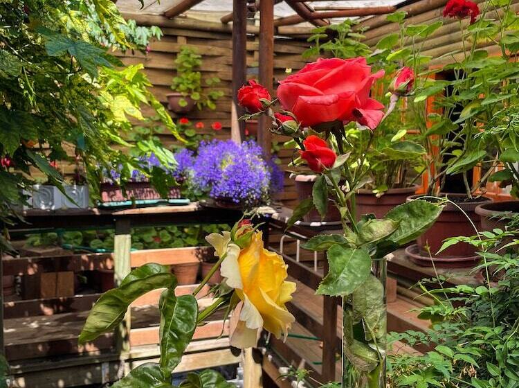 فندق صغير Hostal Mi Segundo Hogar