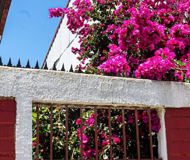 فندق صغير Hostal Mi Segundo Hogar