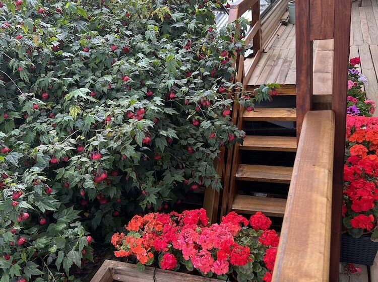 فندق صغير Hostal Mi Segundo Hogar