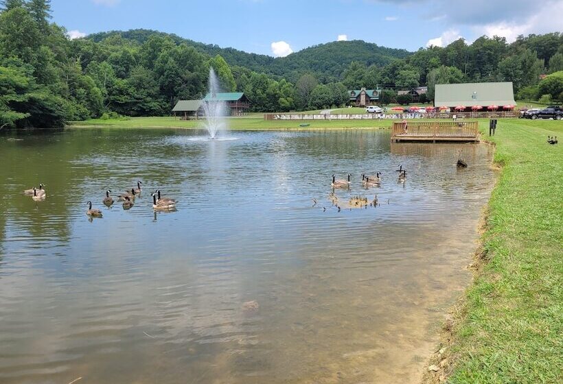Bear Ridge Mountain View