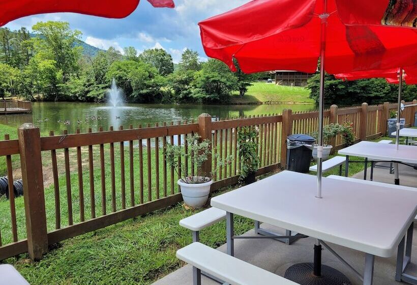 Bear Ridge Mountain View