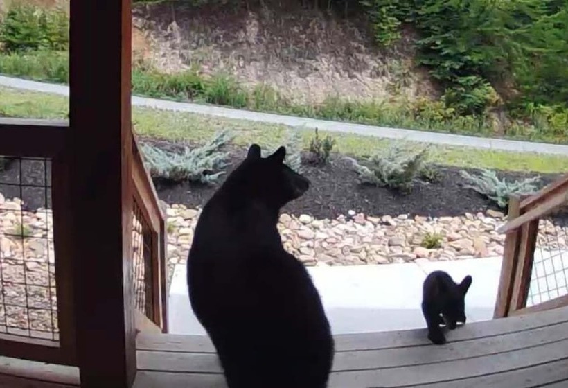 Bear Ridge Mountain View