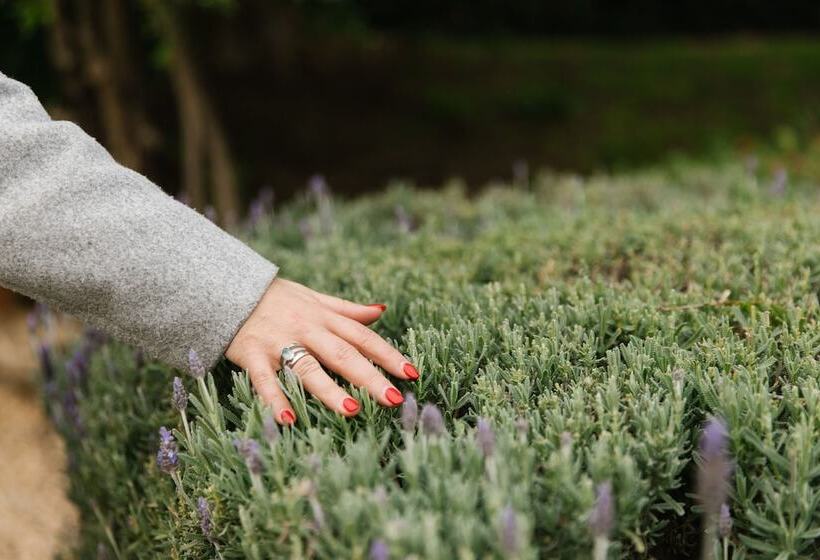 ベッドアンドブレックファースト Anlaby Station