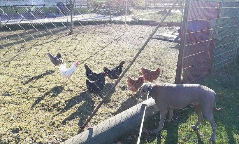 민박 Gästehaus Grunewald