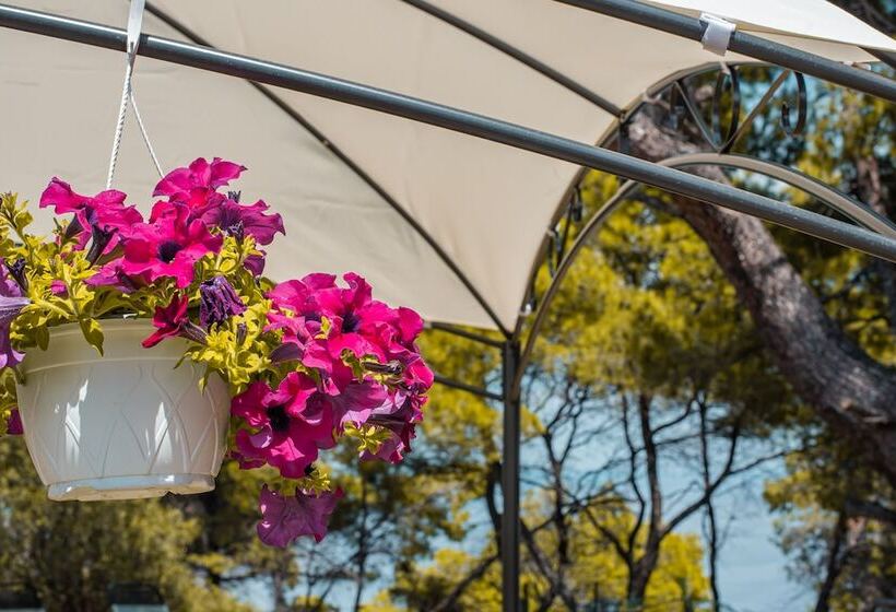 צימר Pefkon Suites