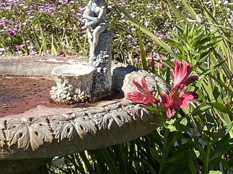 住宿加早餐  Twboord