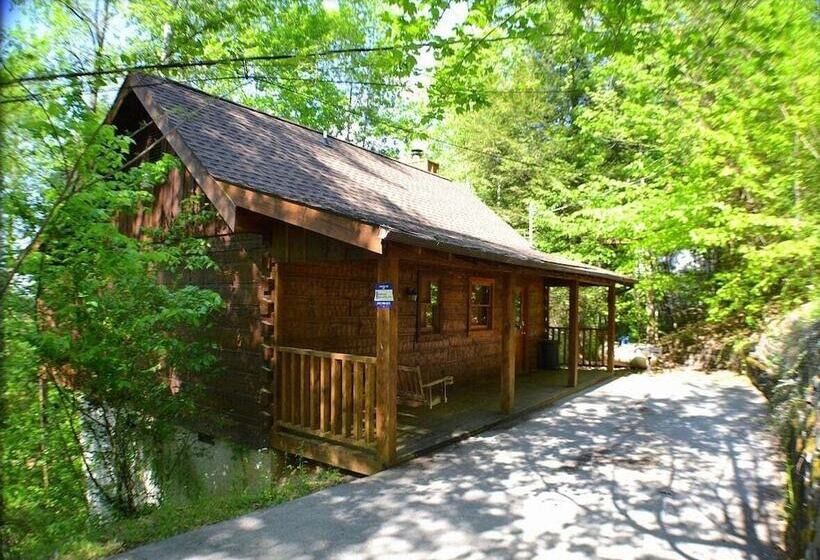 Cabin Fever