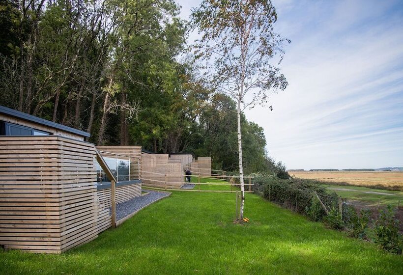 Caswell Bay Hide Out   Cabin   Landimore